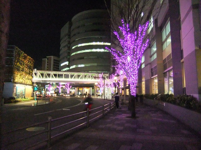 ライトアップ