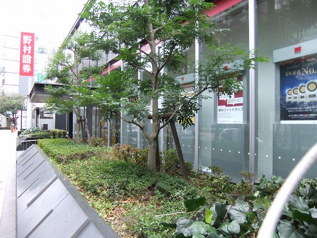 間口