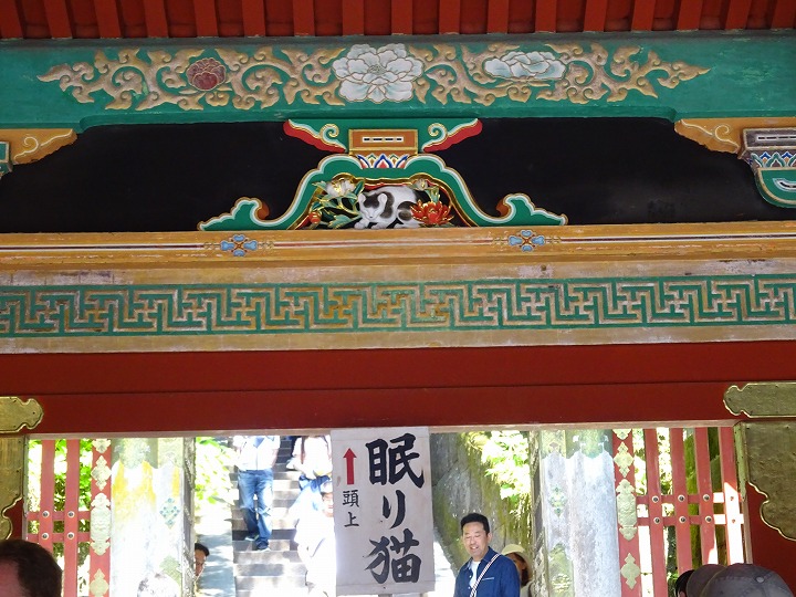 眠り猫