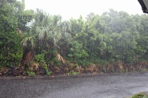 台風12号