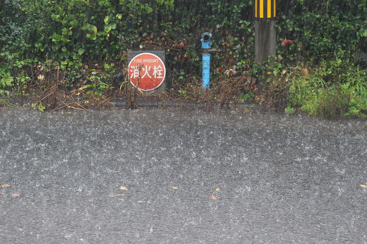 雨