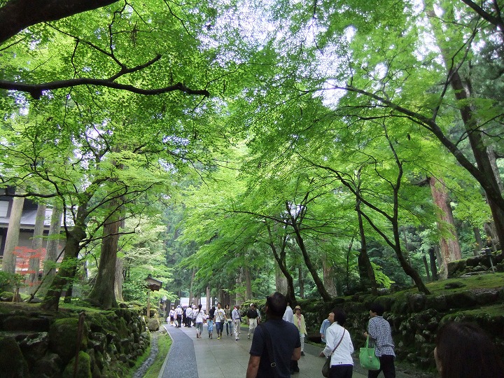 永平寺へ