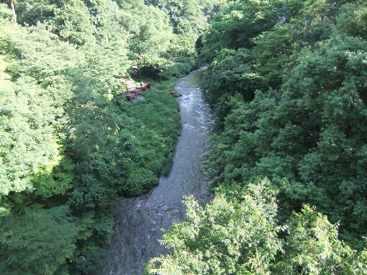 橋の上から