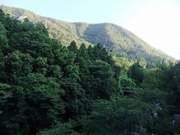 山