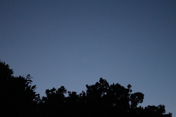 金星