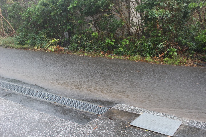 雨